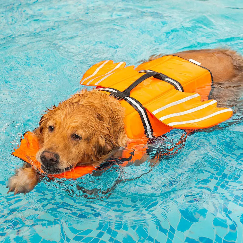 Wings Life Jacket