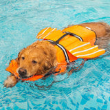 Wings Life Jacket