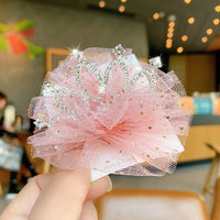 Queen Crown Hair Clip