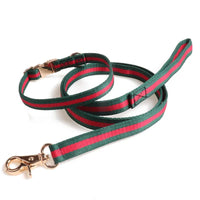 Gucchewi Collar and Leash