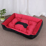 Cozy Bone Plush Dog Bed