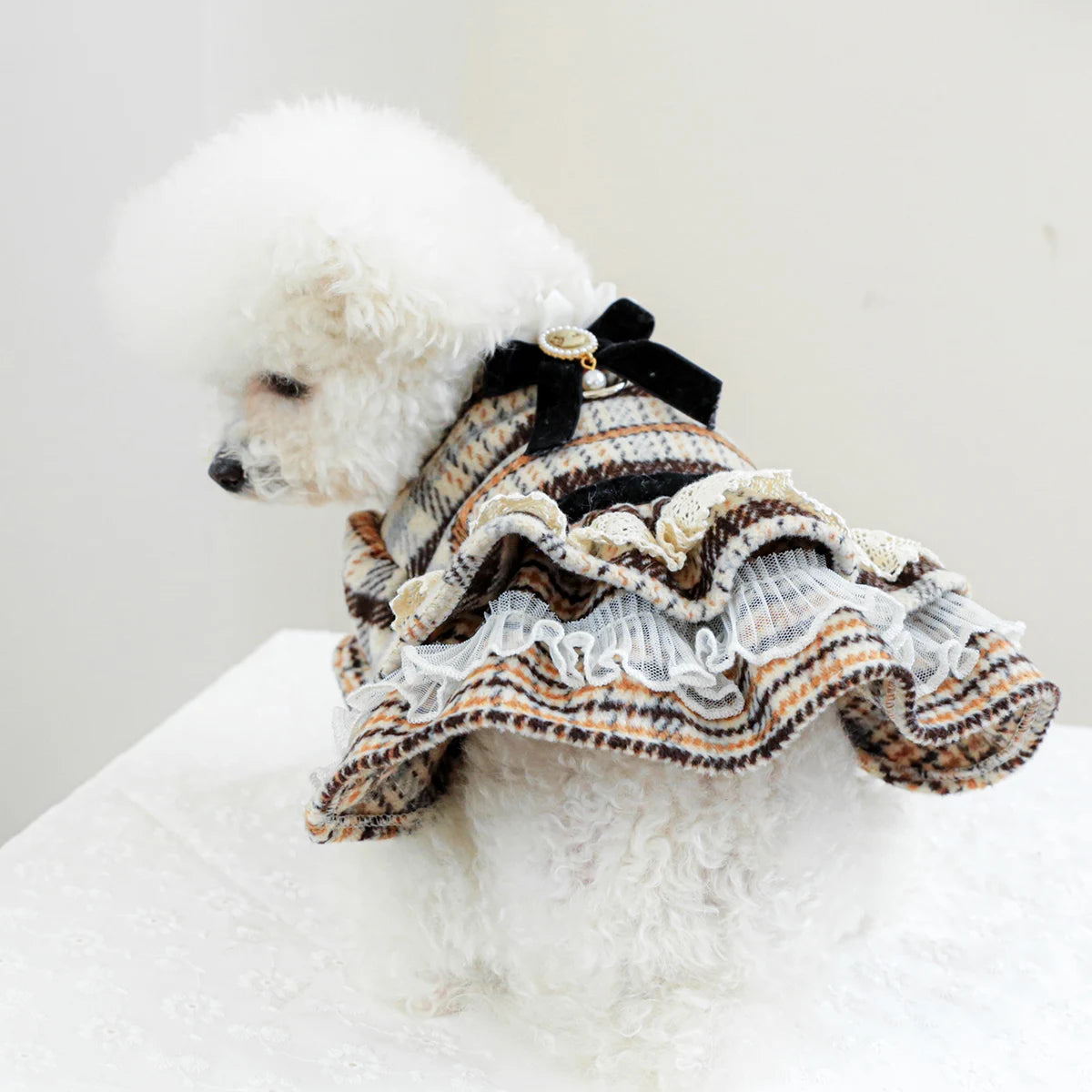 Pawlaine Tweed Dress