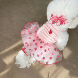 Strawberry Mesh Dress