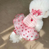 Strawberry Mesh Dress