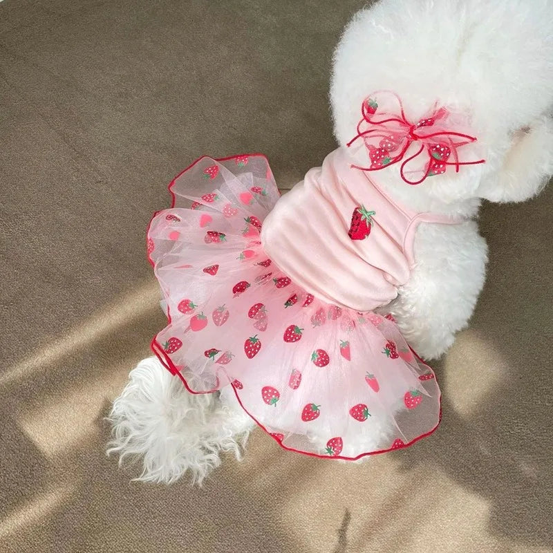Strawberry Mesh Dress