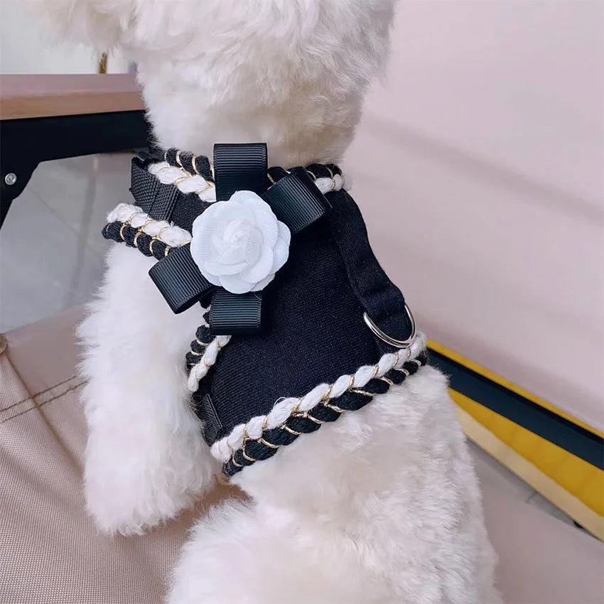 Coco Chewnel Harness and Leash