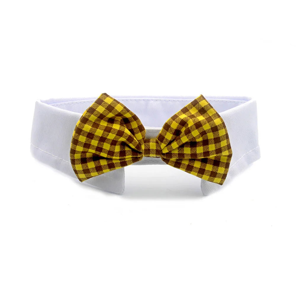 Bowtie Collar