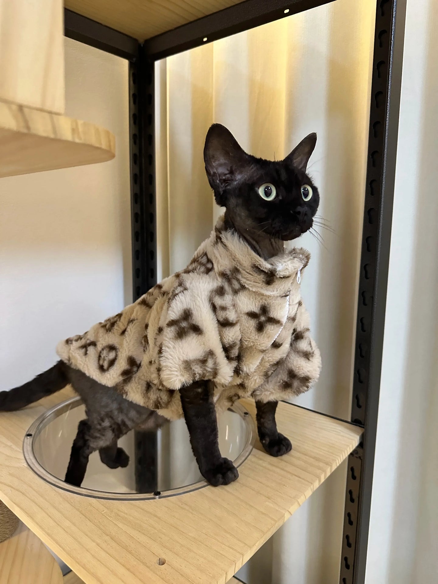 Chewy Vuittawn Plush Jacket