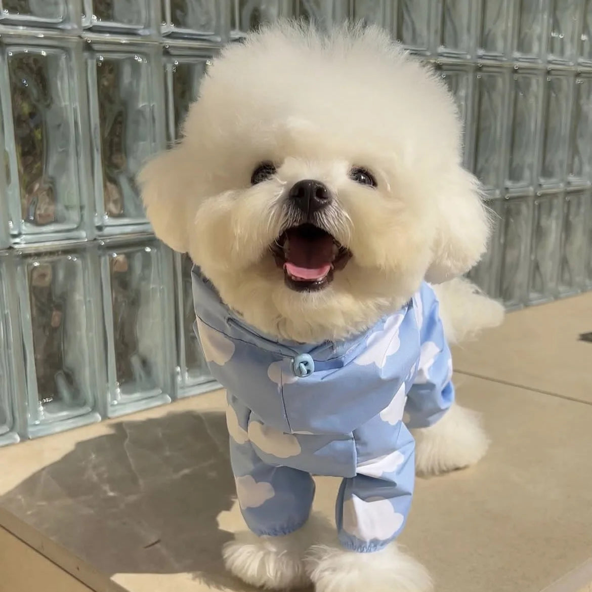 PawCute Raincoat Jumpsuit