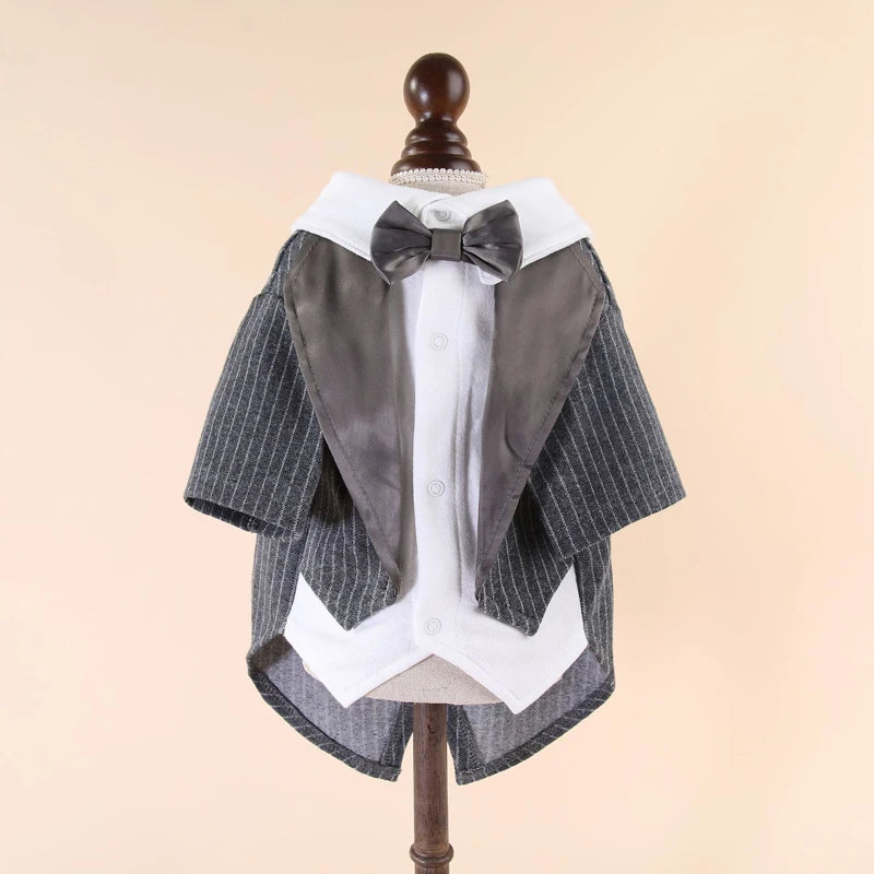 Gentleman Tuxedo Satin Suit
