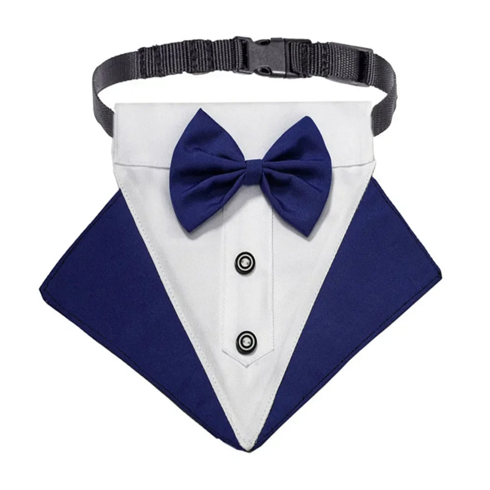 Tuxedo Bandana Collar