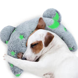 Luminous Glow in the Dark Pet Pillow