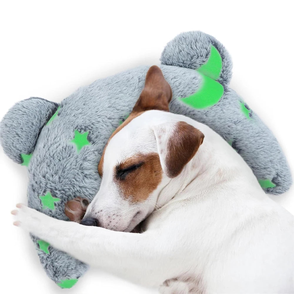 Luminous Glow in the Dark Pet Pillow