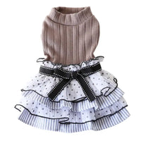 Polka Dot Princess Dress