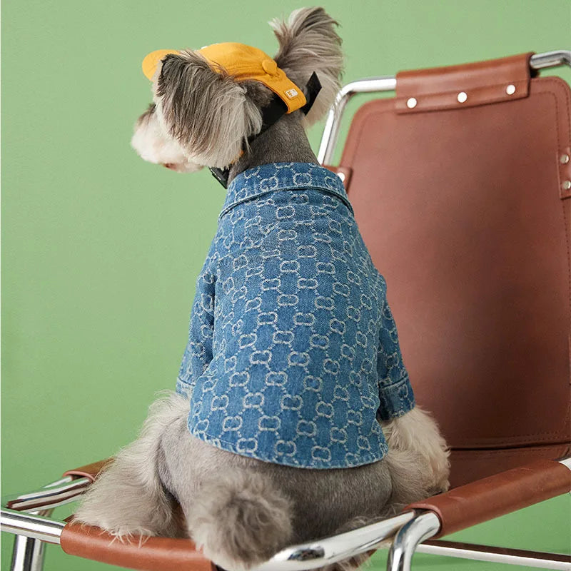 Gucchi Denim Jacket