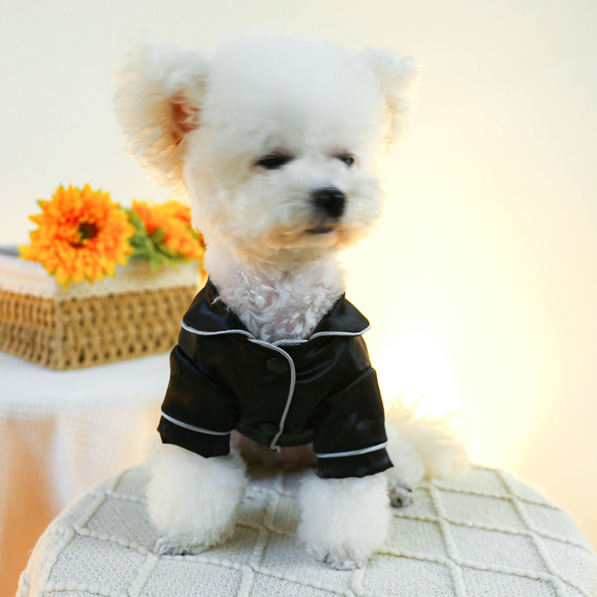 PawLuxe Silk Pyjama