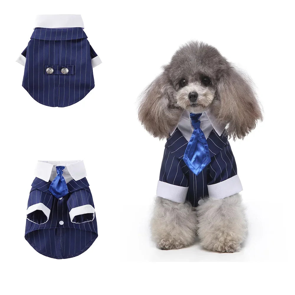 Tie Suit