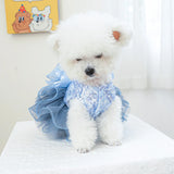 PawCinderella Dress