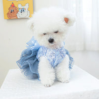 PawCinderella Dress