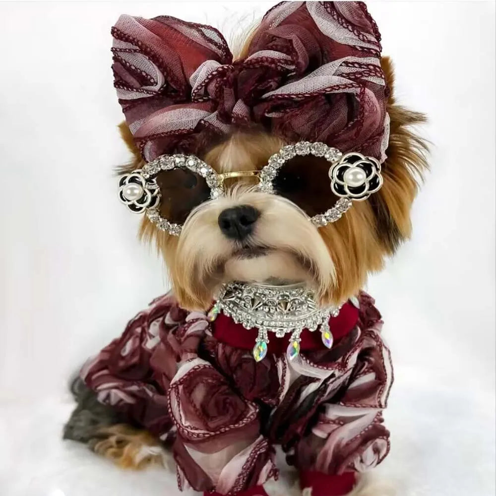 Coco Chewnel Sunglasses