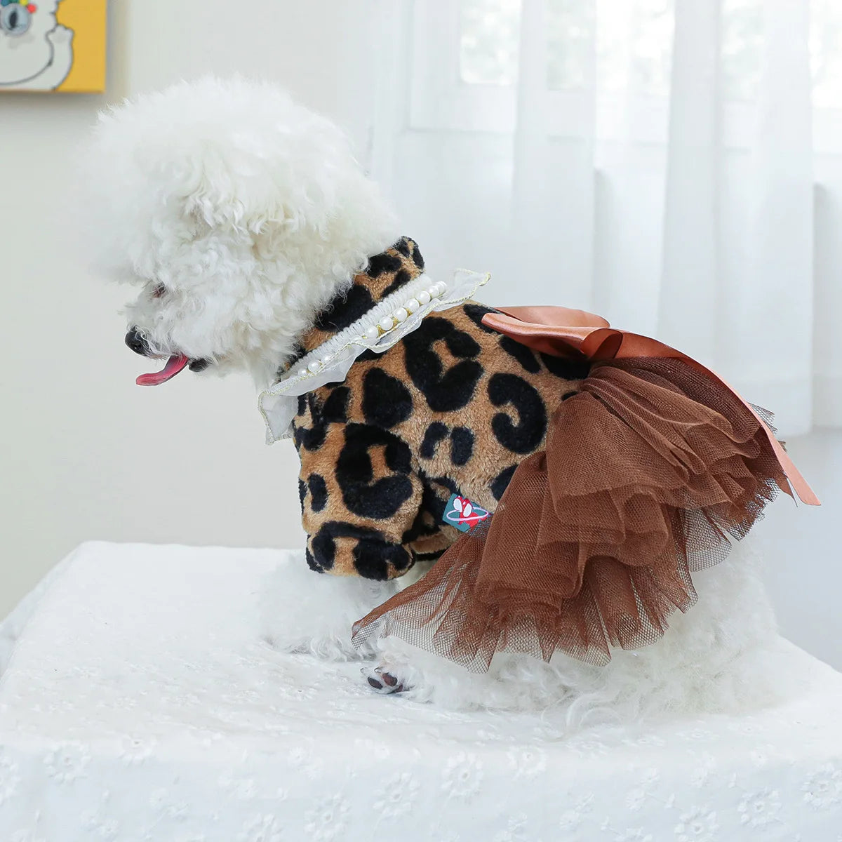 PawLuxe Leopard Dress