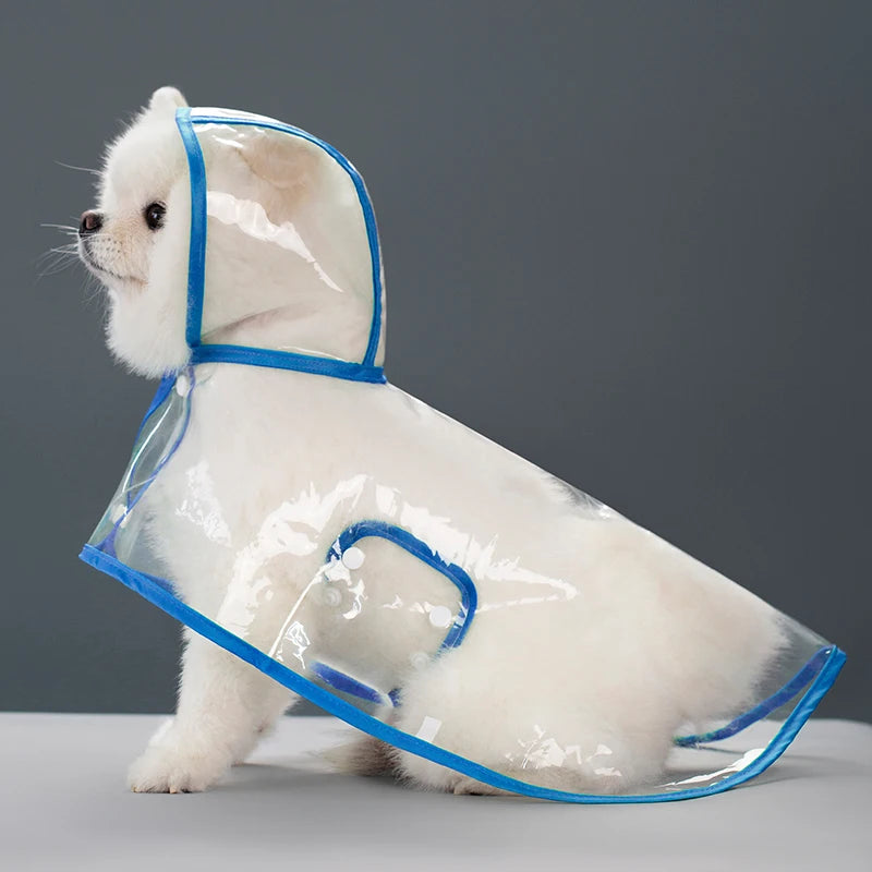 Transparent Hooded Raincoat