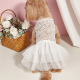 Lace Pearl Princess Dress