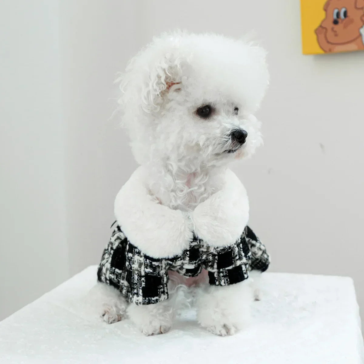 Chewnel Fur Tweed Dress