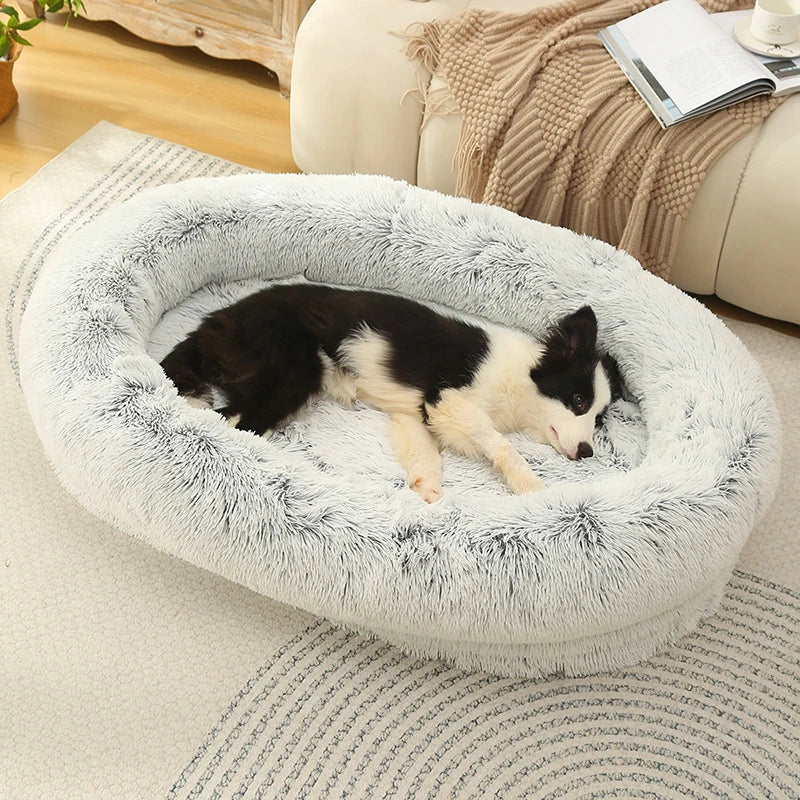 PawLuxe Oval Dog Bed