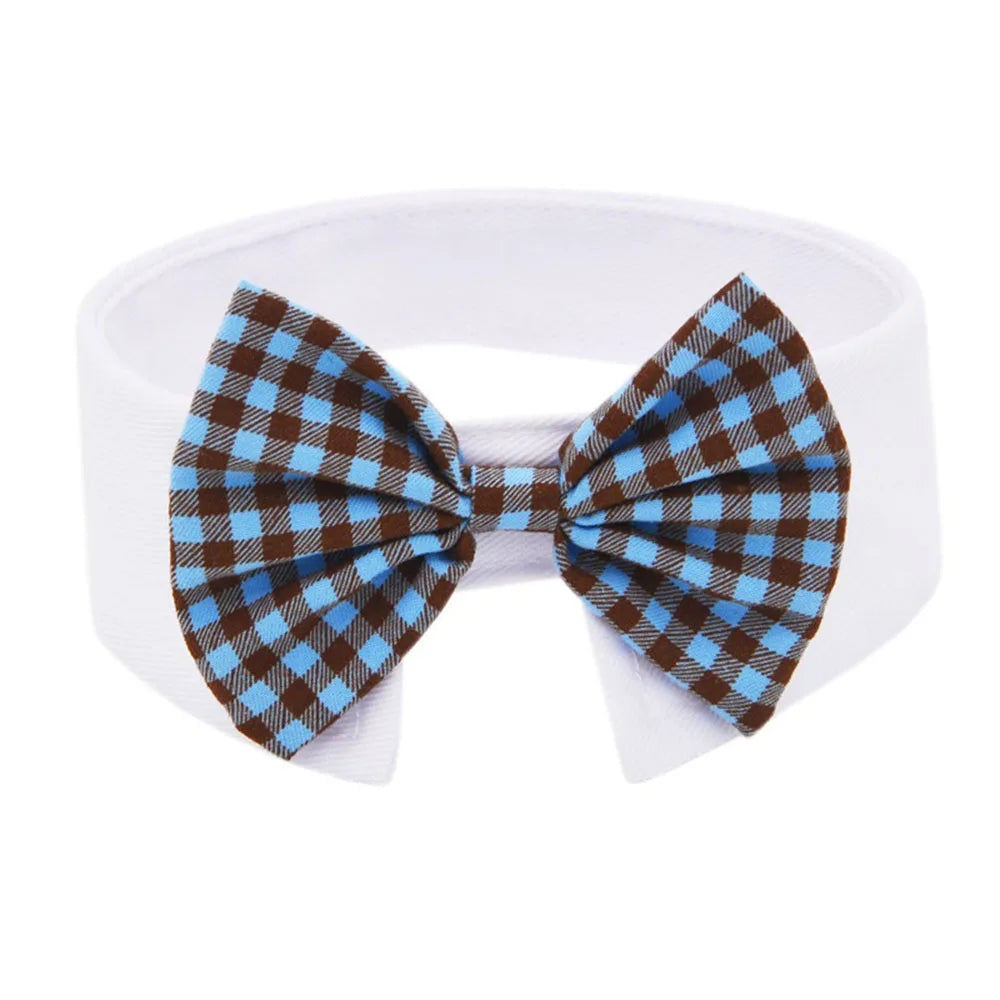 Bowtie Collar