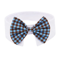 Bowtie Collar
