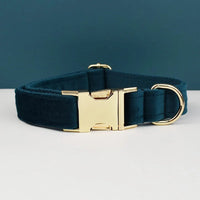 Velvet Luxe Personalized Collar