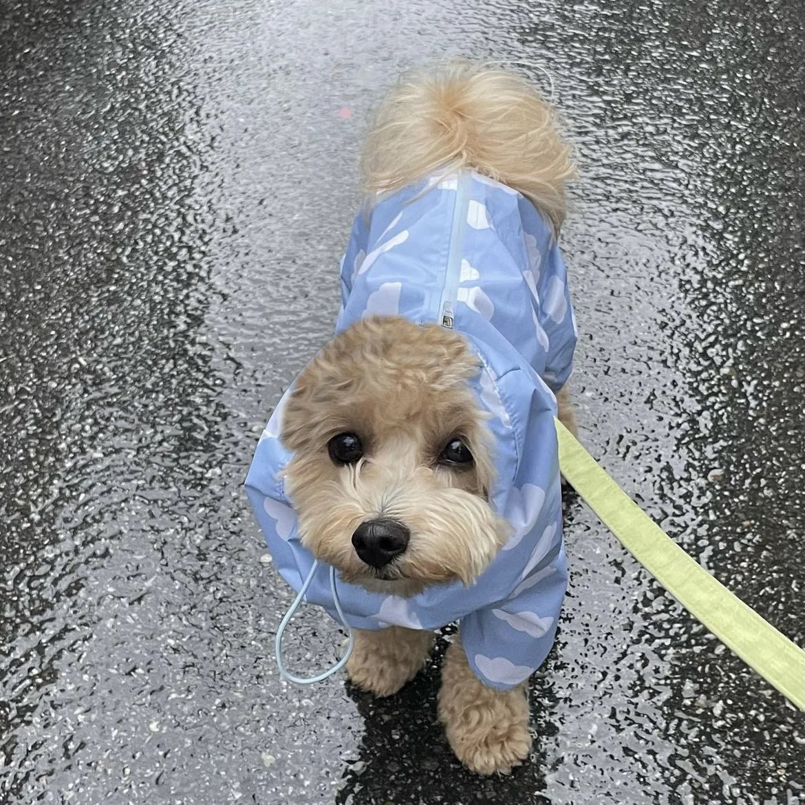 PawCute Raincoat Jumpsuit