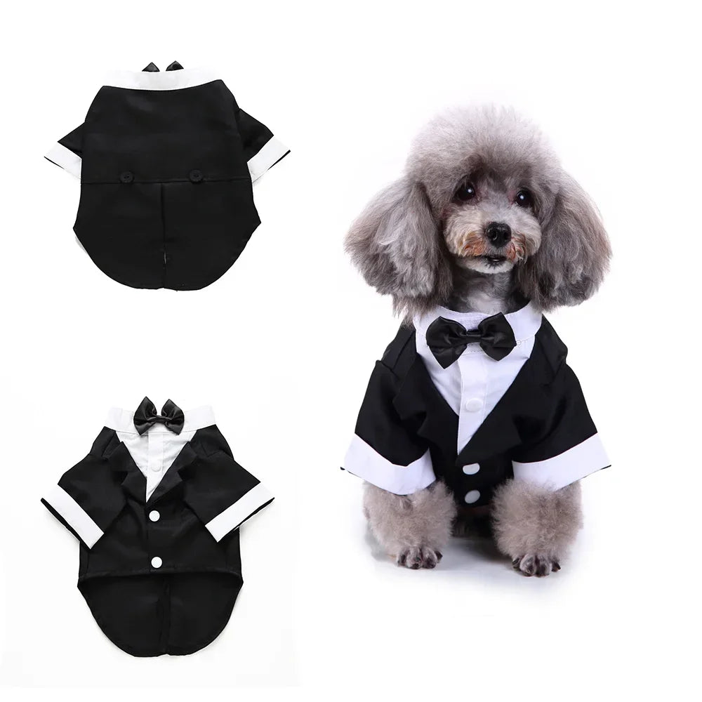 Tie Suit