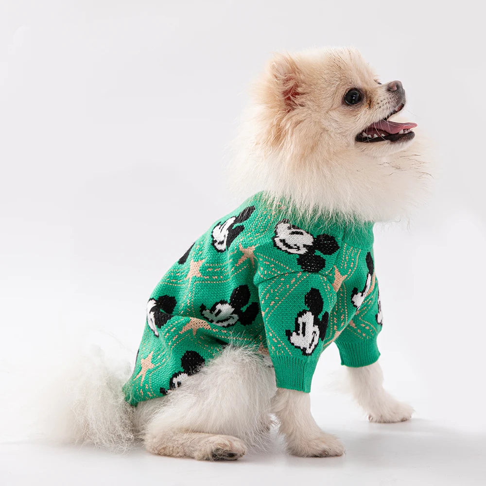 Disney Sweater