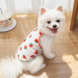Summer Breeze Mesh Sunscreen Vest
