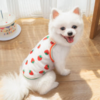 Summer Breeze Mesh Sunscreen Vest