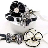 Chewnel Ajustable Collar