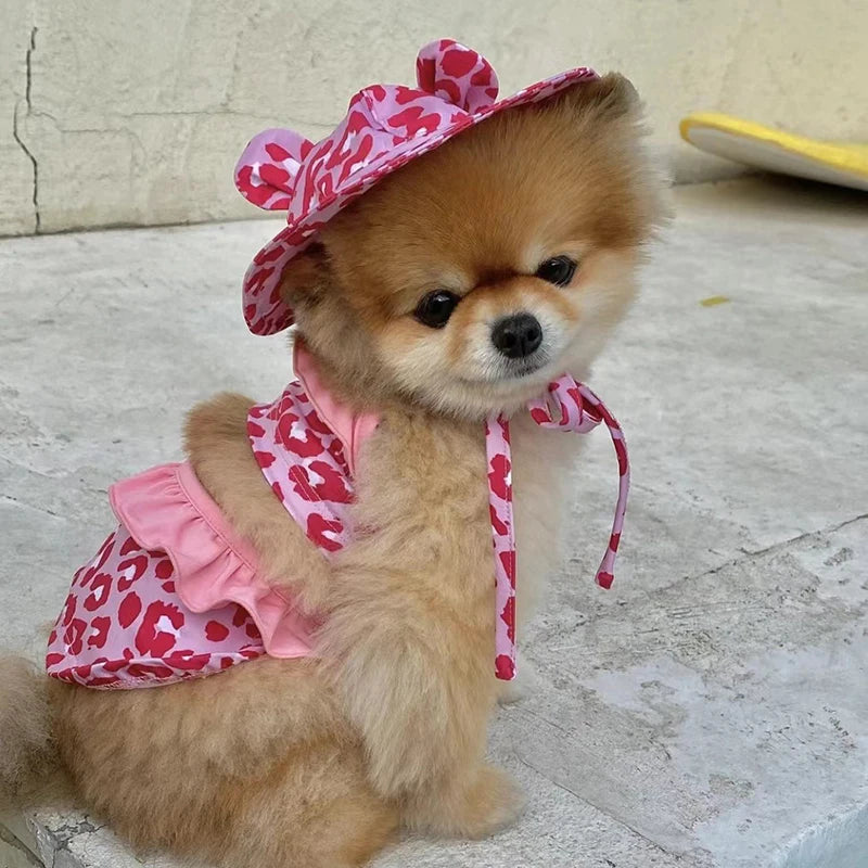 PawCute Swimsuit