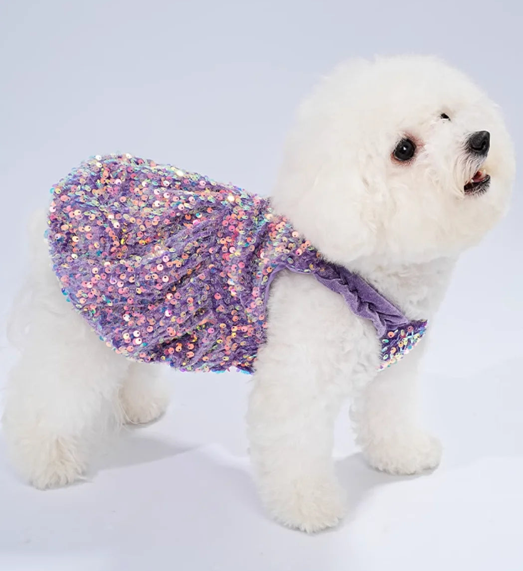 Princess Sequin Dress