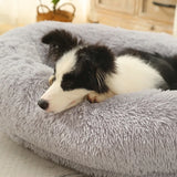 PawLuxe Oval Dog Bed