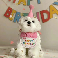 Pawty Princess Birthday Set