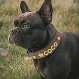 Custom Leather Dog Collar Personalized Dogs Name Collars Bling Rhinestone Pet Necklace DIY Name Free Bone Paw Heart Charm