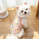 Summer Breeze Mesh Sunscreen Vest
