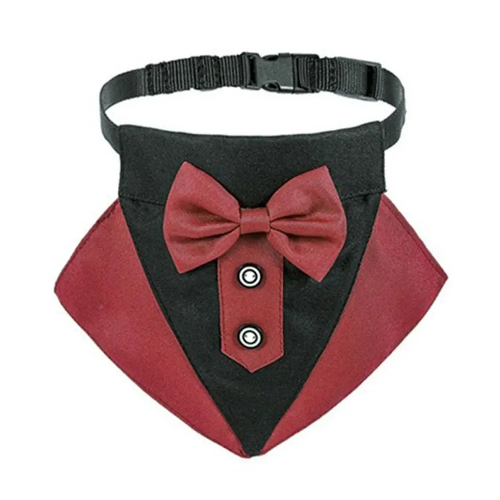 Tuxedo Bandana Collar