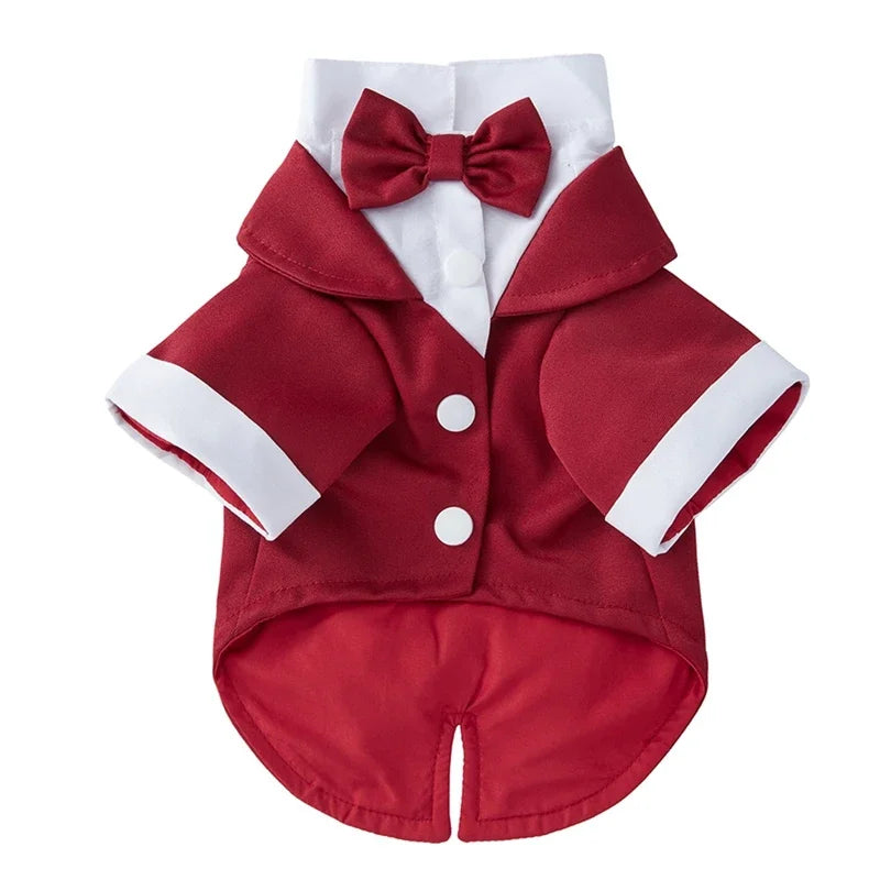PawLuxe Suit