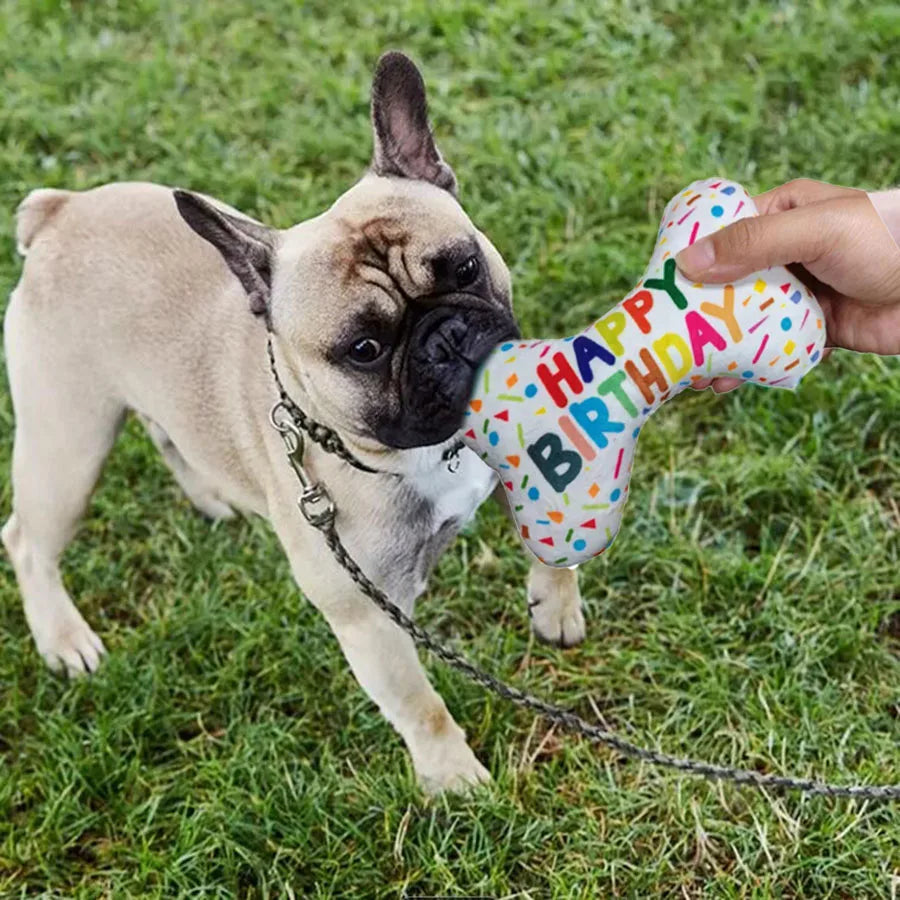Happy Birthday Bone Plush Toy