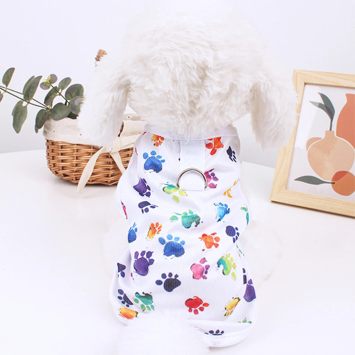 Multicolor Paws Tee