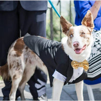 Gold Bow Tuxedo Suit