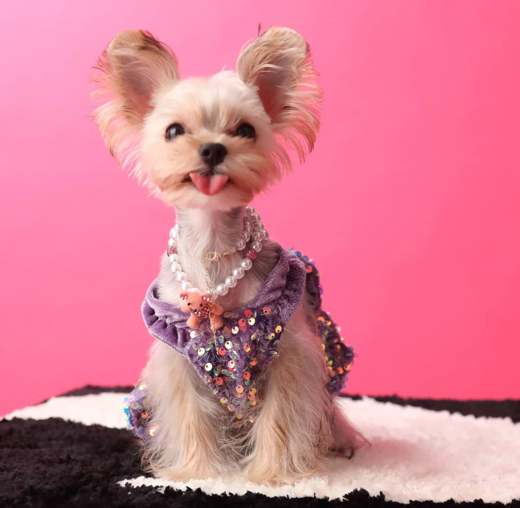Princess Sequin Dress